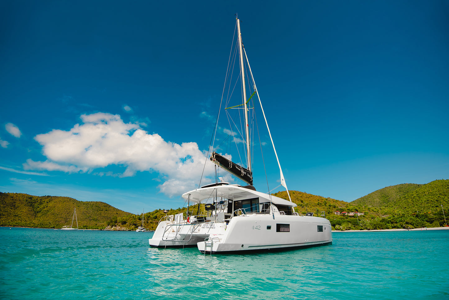 Neon Treasures of the Caribbean Sea