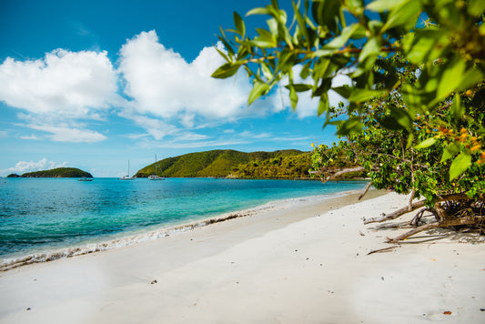 Natural Wonders of the Picturesque U.S. Virgin Islands