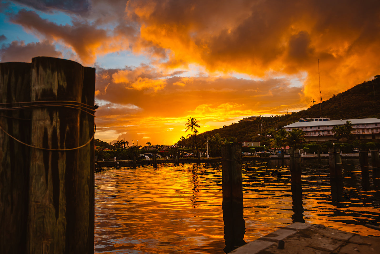 Natural Wonders of the Picturesque U.S. Virgin Islands